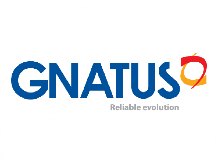 Gnatus (Brazil)